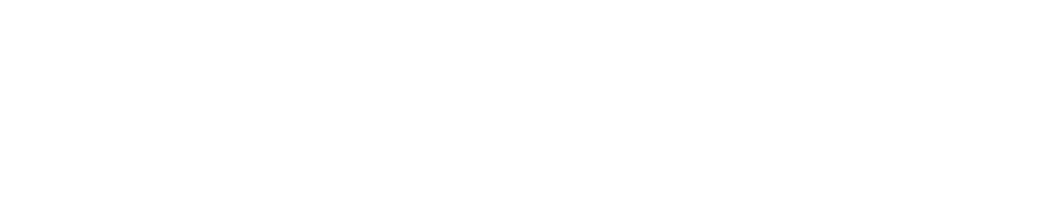 Numata Business IT